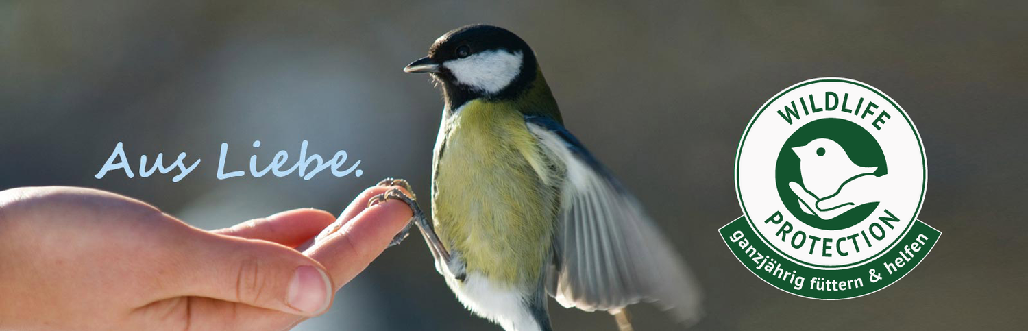 zimní program - krmiva pro venkovní ptáčky