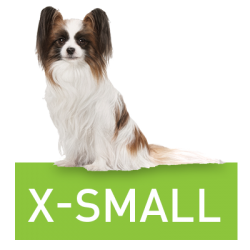 krmení RoyalCanin X-small pro miniaturní plemena psů