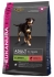 Eukanuba Adult All Breeds Rich in Salmon & Rice 2,5kg