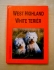 West Highland White terier ( Dagmar Bergerová ) 
