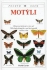 Motýli pouhým okem ( David Carter )