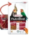 NutriBird G14 tropical 1kg pro střední papoušky