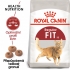 RoyalCanin feline FIT 10kg