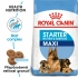 Royal Canin MAXI starter mother&babydog 15kg