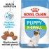 Royal Canin X-Small puppy 1,5kg