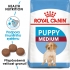 Royal Canin Medium puppy 1kg