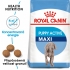 Royal Canin MAXI active puppy 15kg